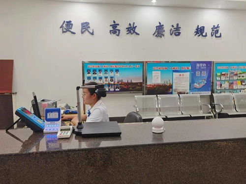 嘉興科技城大橋鎮(zhèn)便民服務(wù)中心啟用“一窗受理、全域通辦”公用事業(yè)服務(wù)窗口